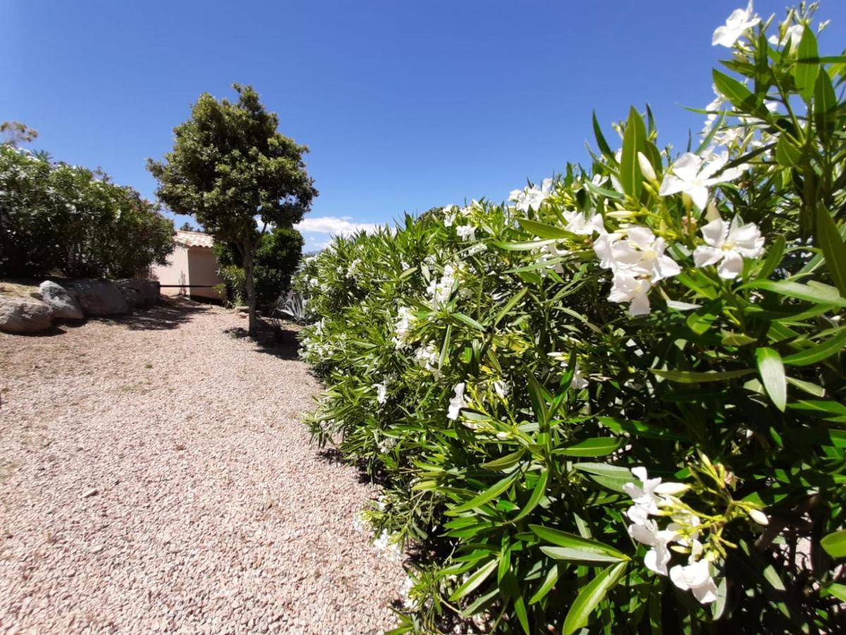 Sole Di Dume Hotel Sotta Exterior photo